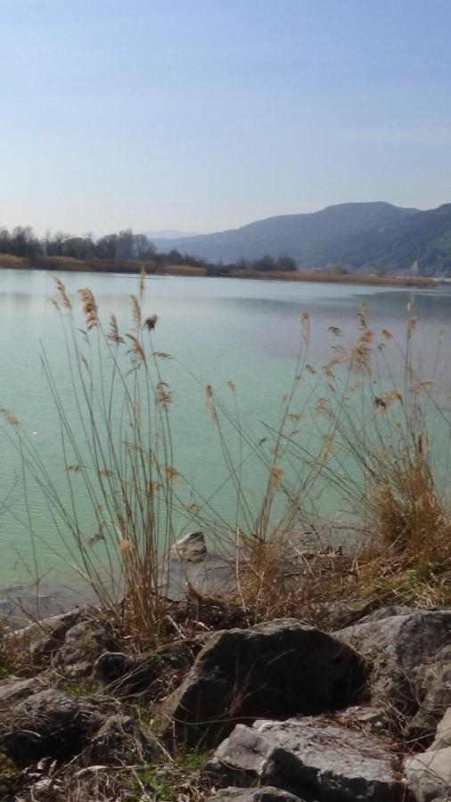 Gite Le Cerisier Via Rhona Dolce Via La Voulte-sur-Rhone Esterno foto