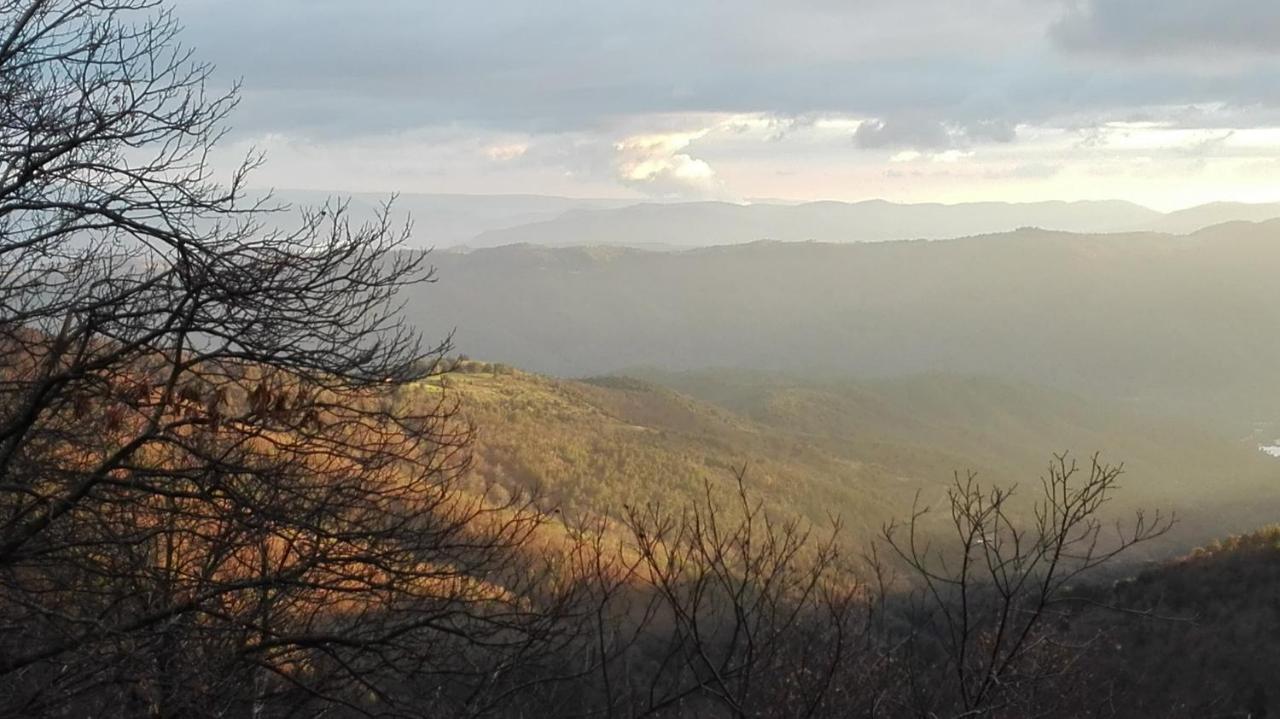 Gite Le Cerisier Via Rhona Dolce Via La Voulte-sur-Rhone Esterno foto